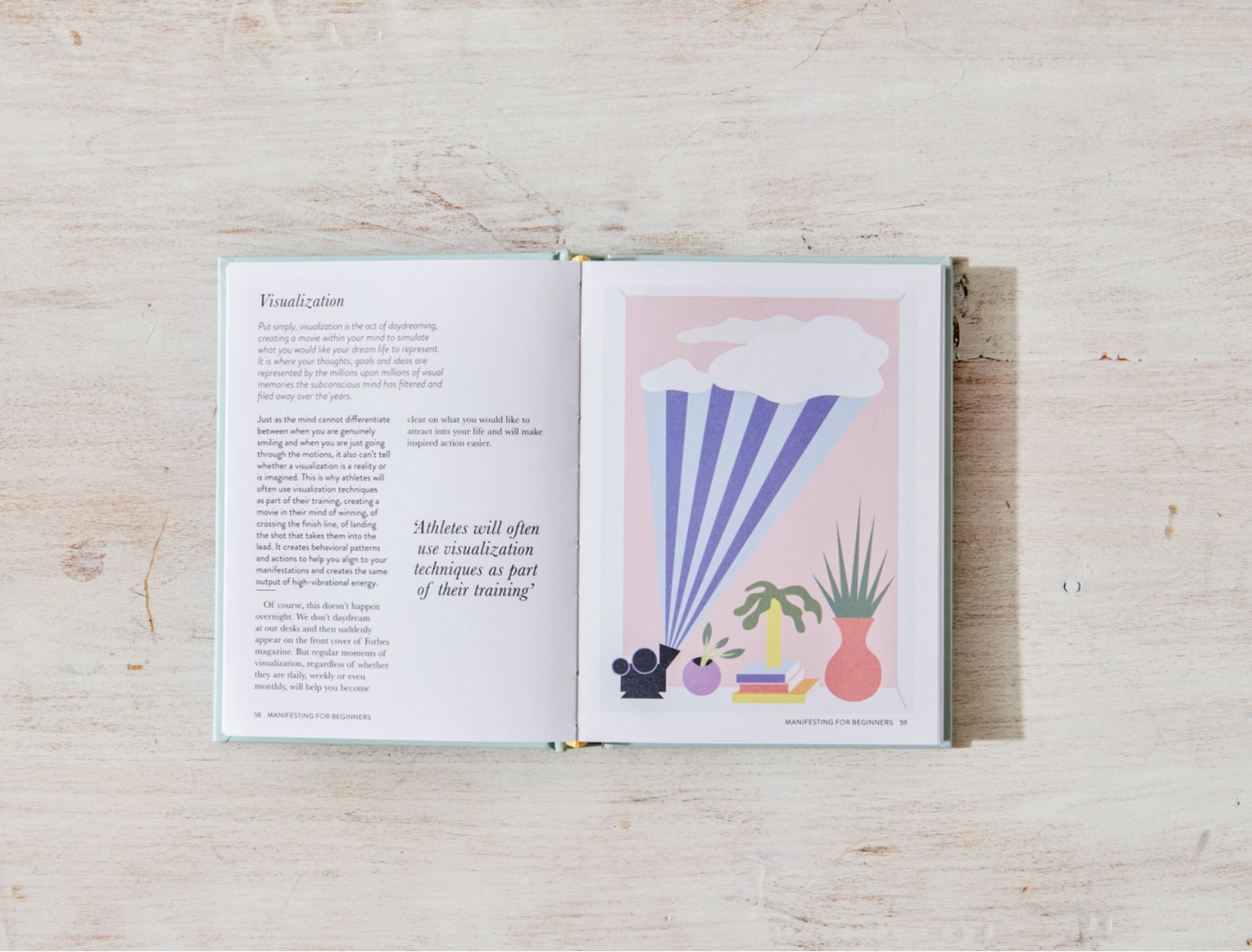 "Manifesting For Beginners" Book