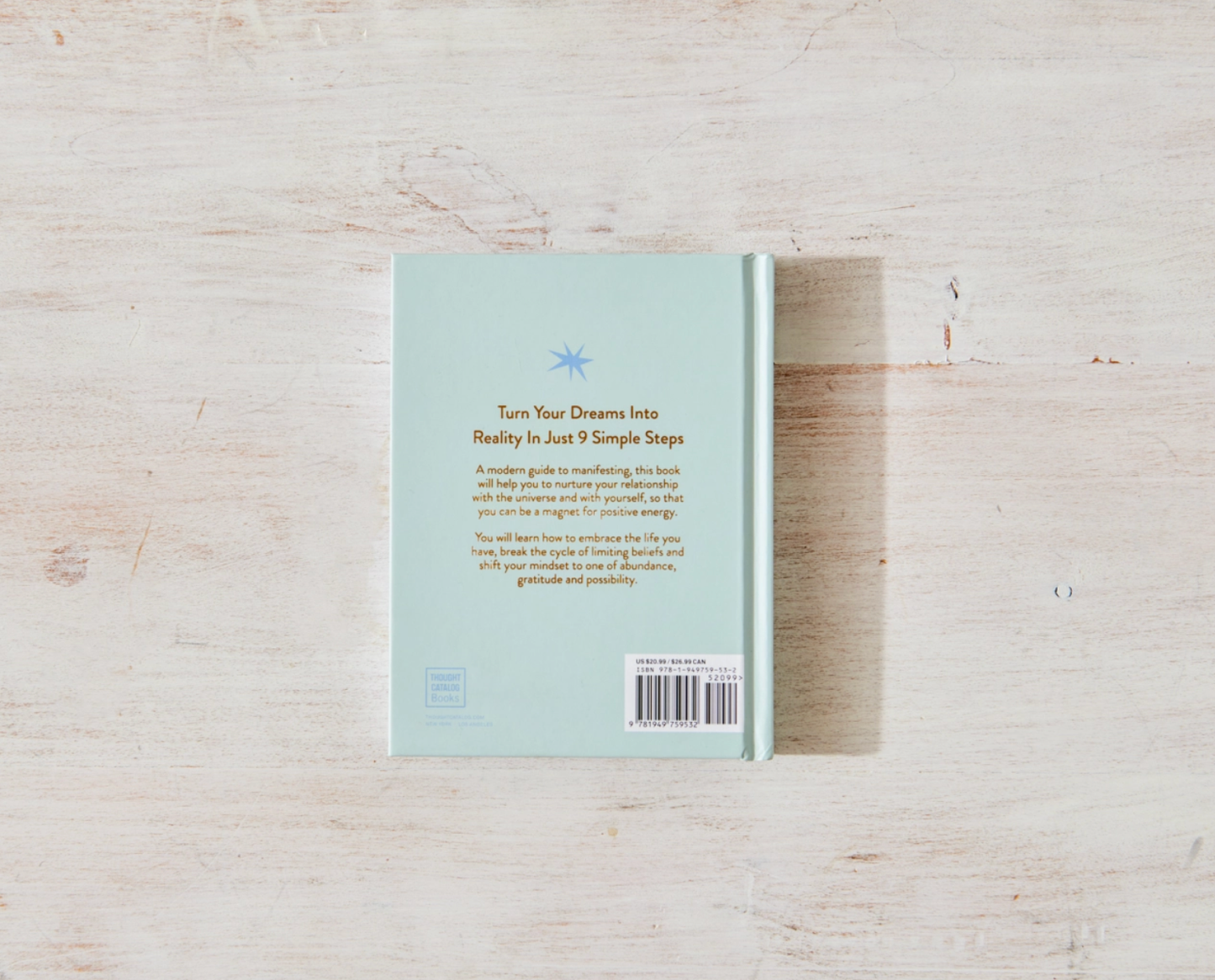 "Manifesting For Beginners" Book