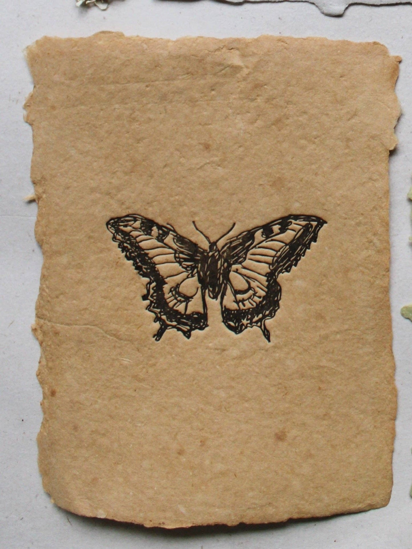 Yellow Swallowtail Butterfly Print