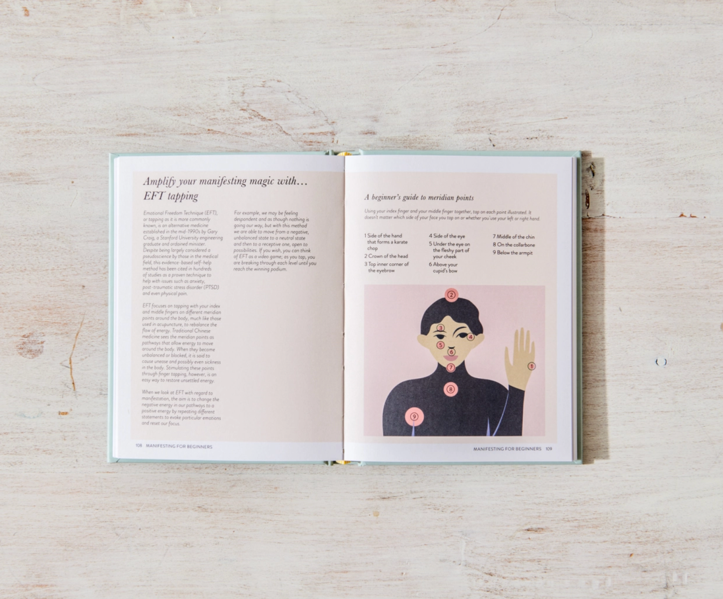"Manifesting For Beginners" Book